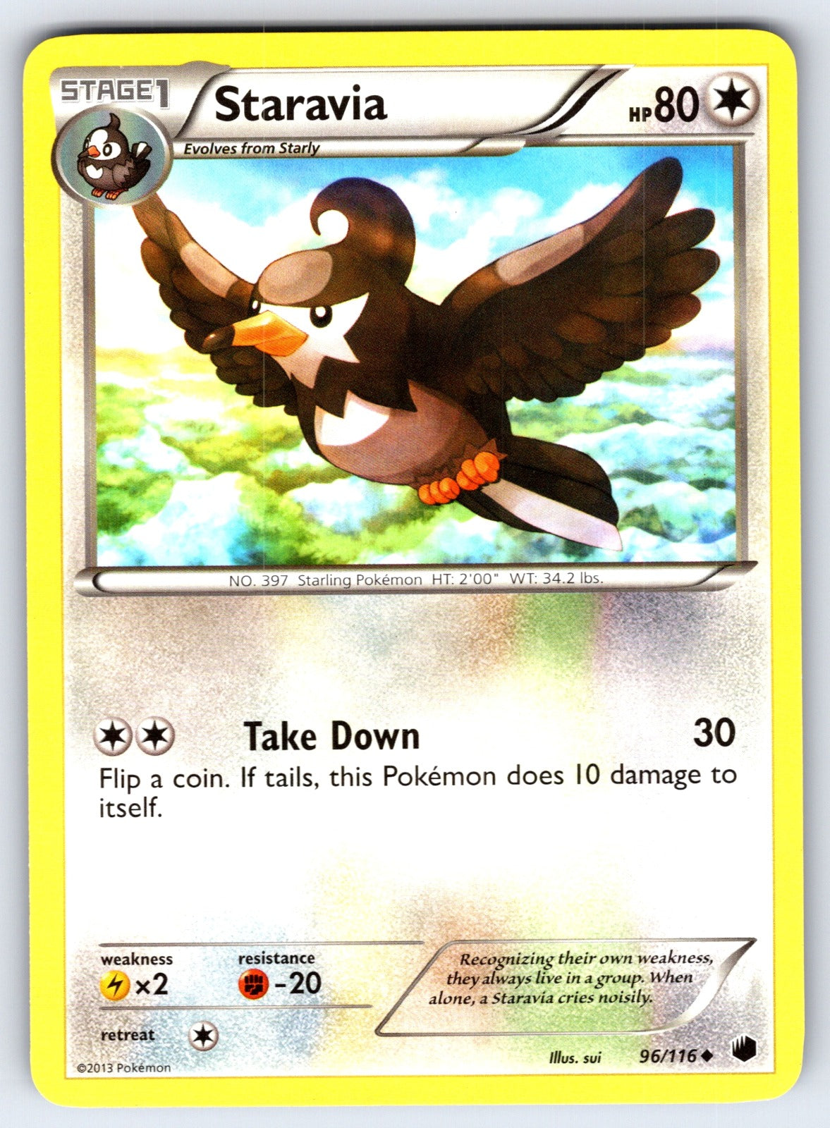 Staravia Uncommon Plasma Freeze 96/116 LP 2013