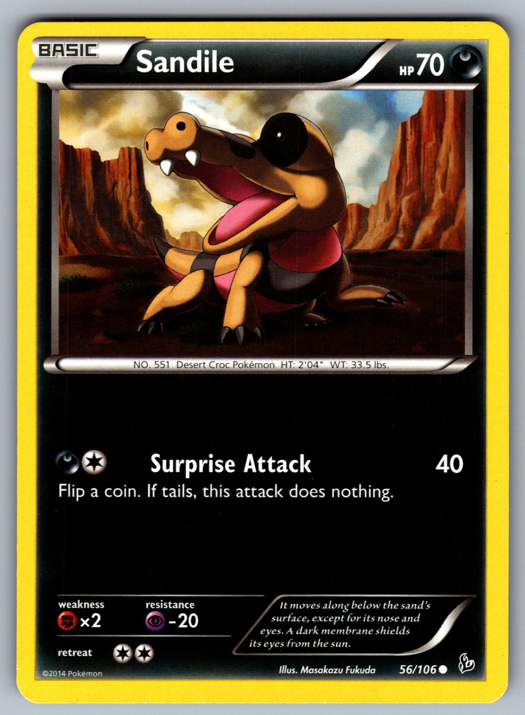 Sandile Common XY - Flashfire 56/106 LP 2014