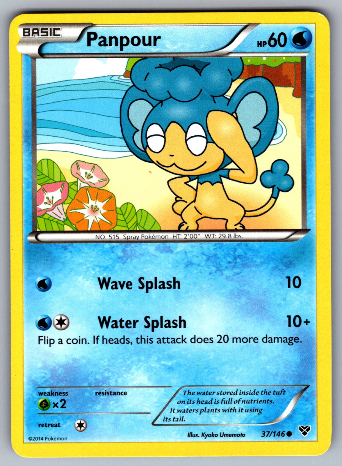 Panpour Common XY Base Set 37/146 LP 2014