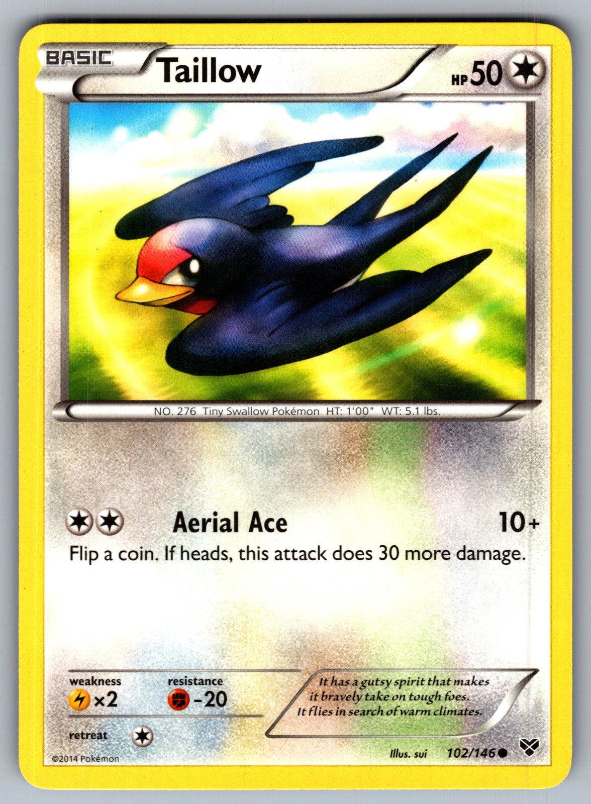 Taillow Common XY Base Set 102/146 LP 2014