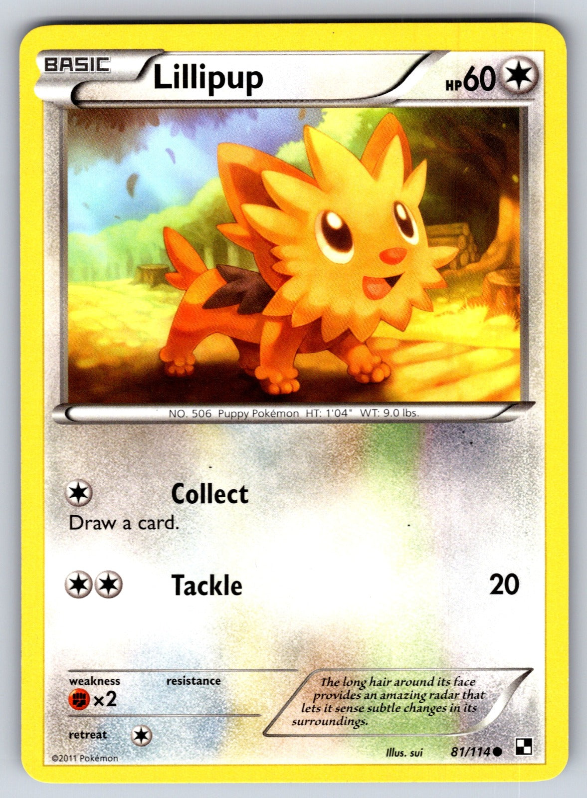 Lillipup (81) Common Black and White 81/114 LP 2011