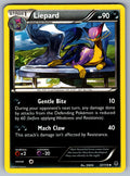 Liepard Uncommon XY - Phantom Forces 57/119 LP 2014