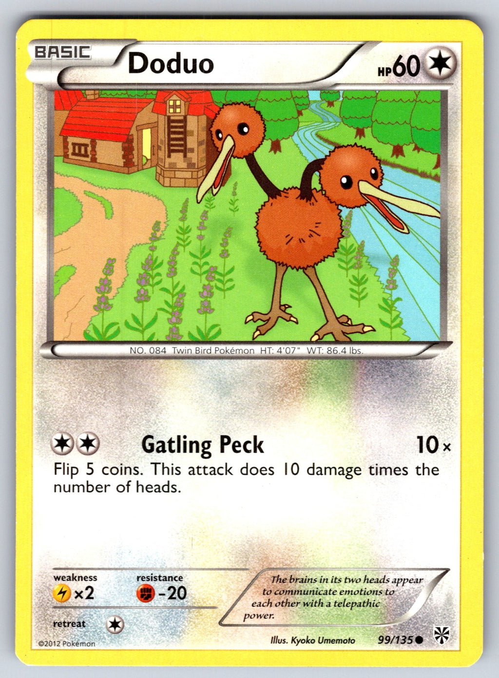 Doduo Common Plasma Storm 99/135 LP 2013