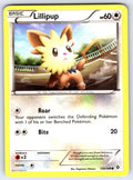 Lillipup Common Boundaries Crossed 120/149 LP 2012