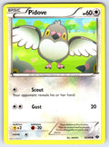 Pidove Common Next Destinies 83/99 LP 2012