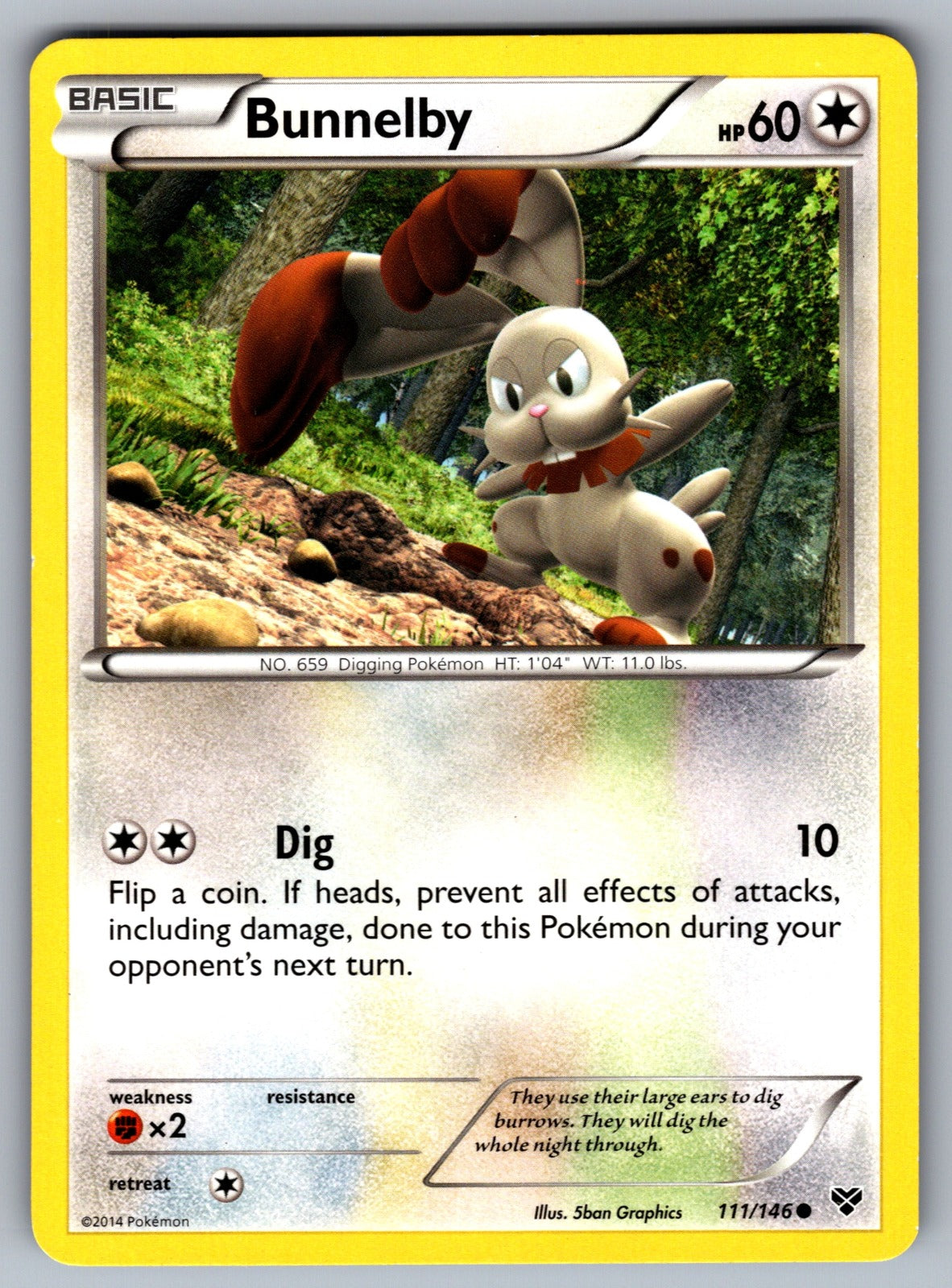 Bunnelby Common XY Base Set 111/146 LP 2014