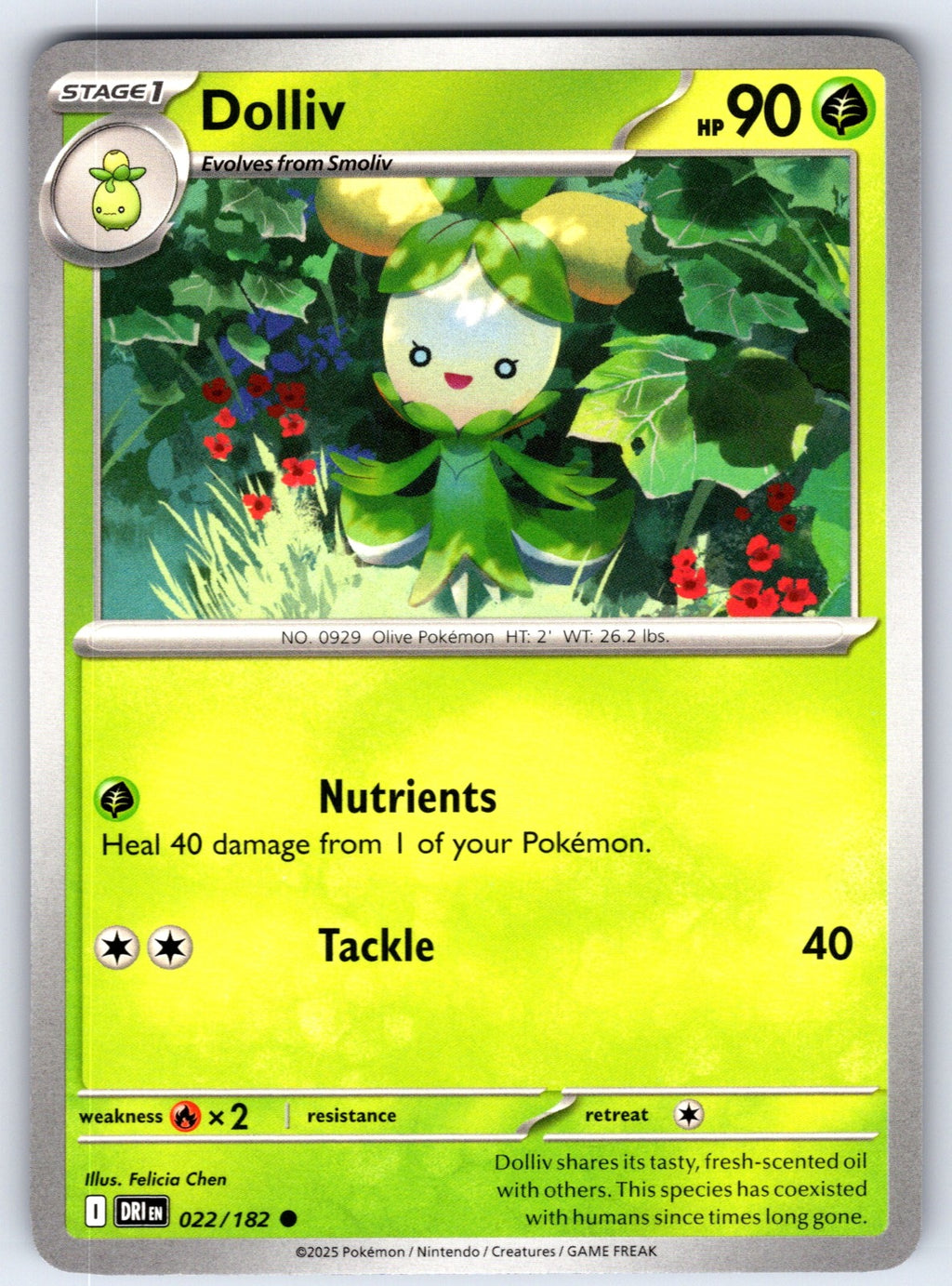 Dolliv Common SV10: Destined Rivals 022/182 NM 2025