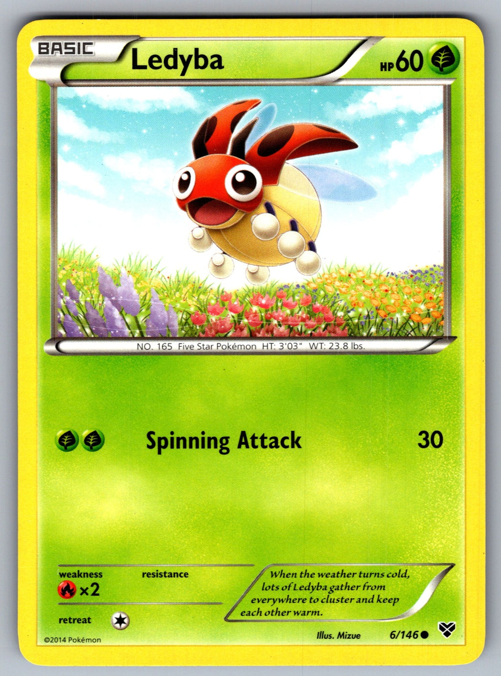 Ledyba Common XY Base Set 6/146 LP 2014