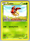 Ledyba Common XY Base Set 6/146 LP 2014
