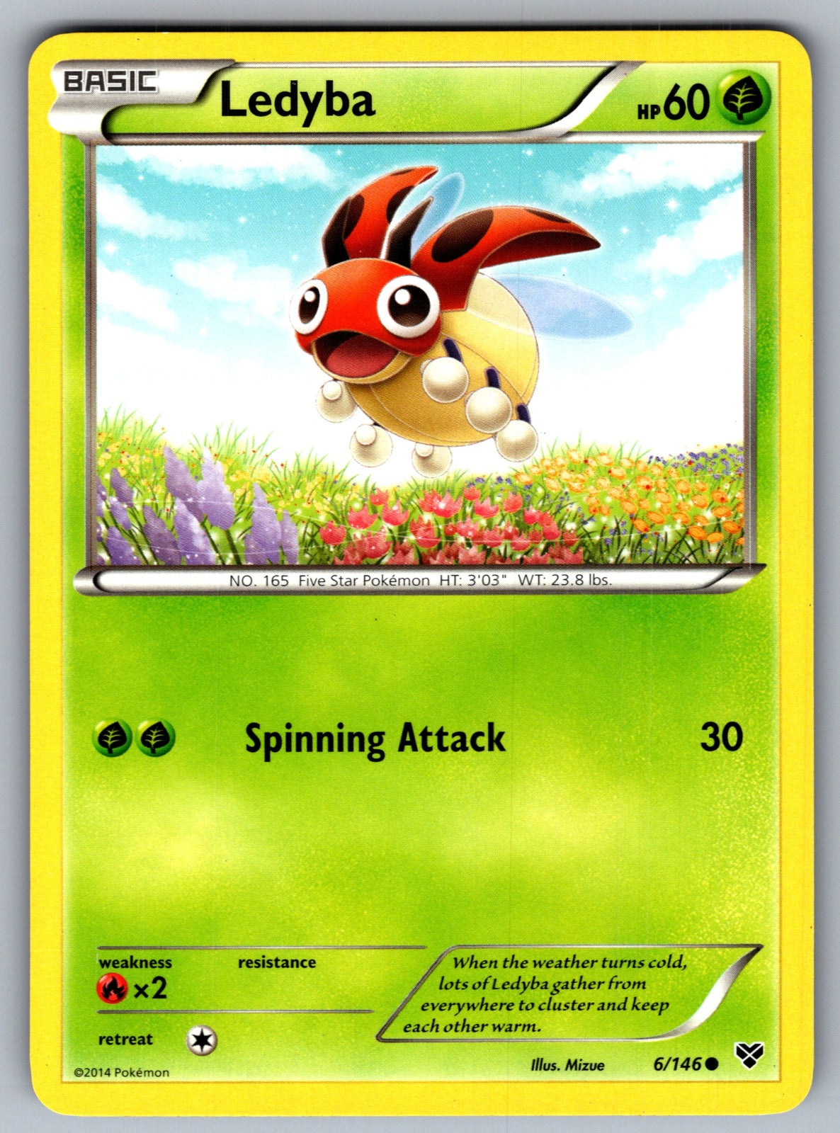Ledyba Common XY Base Set 6/146 LP 2014