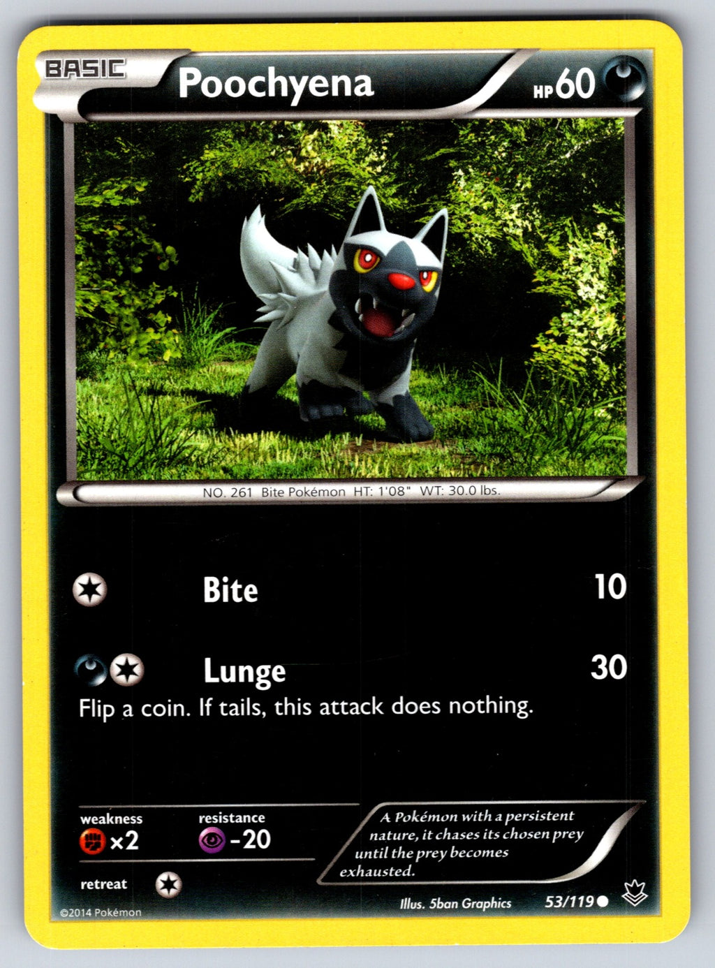 Poochyena Common XY - Phantom Forces 53/119 LP 2014
