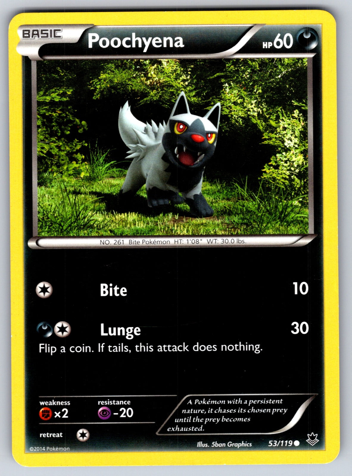 Poochyena Common XY - Phantom Forces 53/119 LP 2014