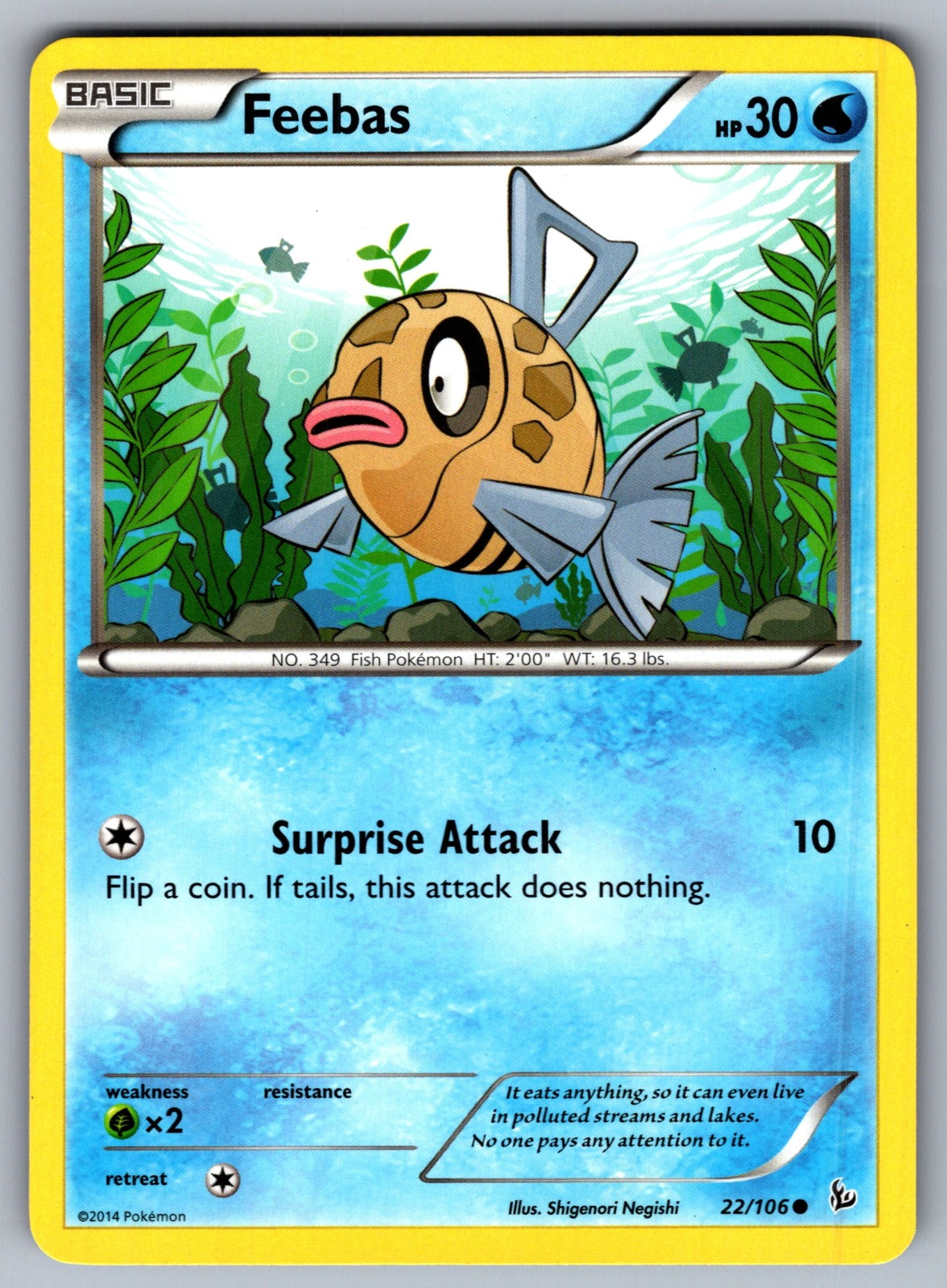 Feebas Common XY - Flashfire 22/106 LP 2014