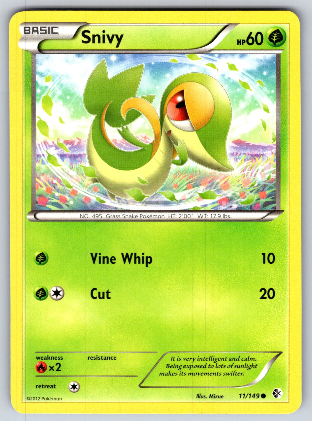 Snivy Common Boundaries Crossed 11/149 LP 2012
