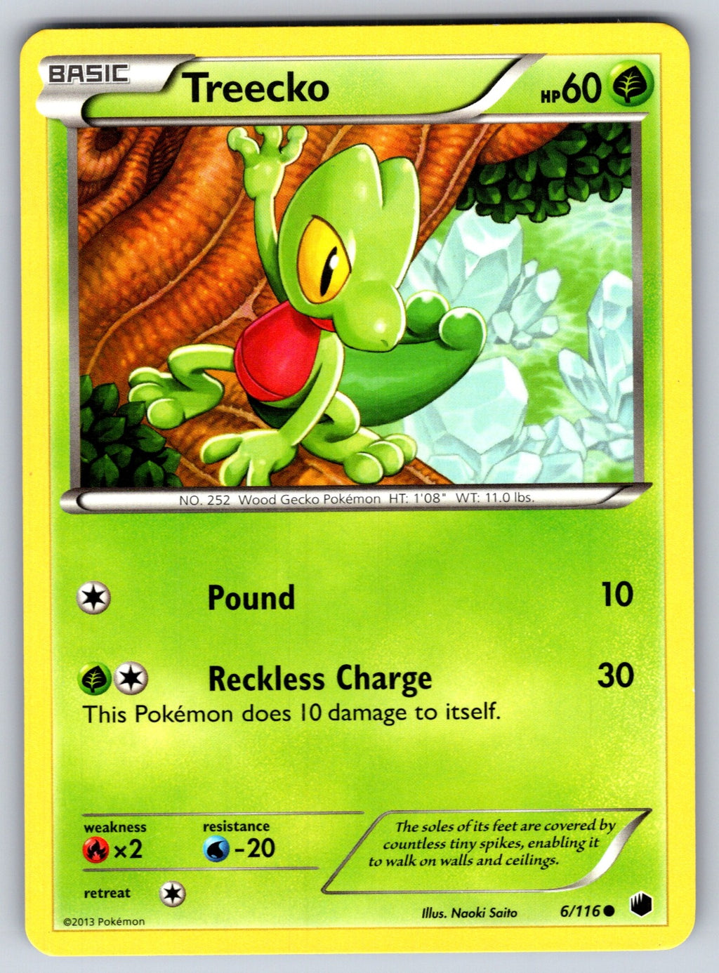 Treecko Common Plasma Freeze 6/116 LP 2013