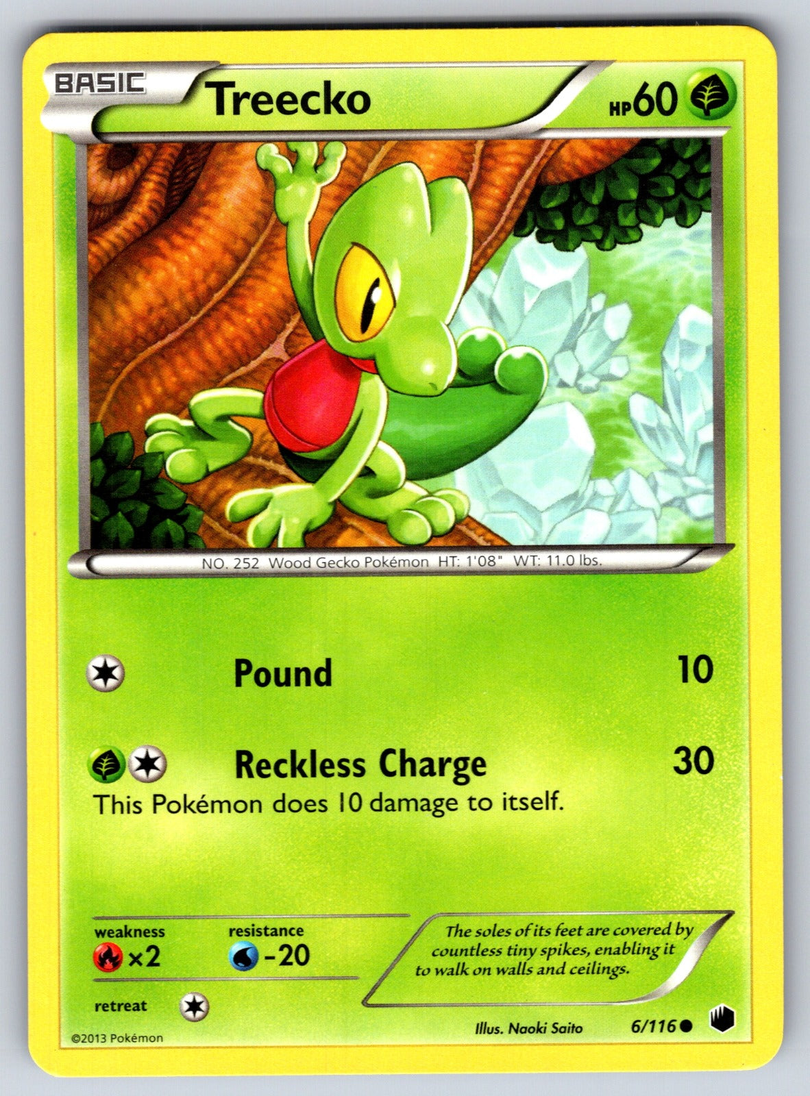 Treecko Common Plasma Freeze 6/116 LP 2013