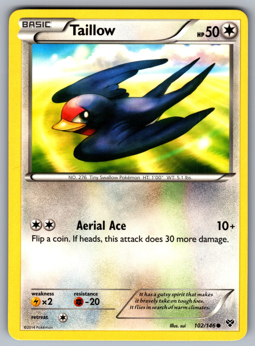 Taillow Common XY Base Set 102/146 LP 2014