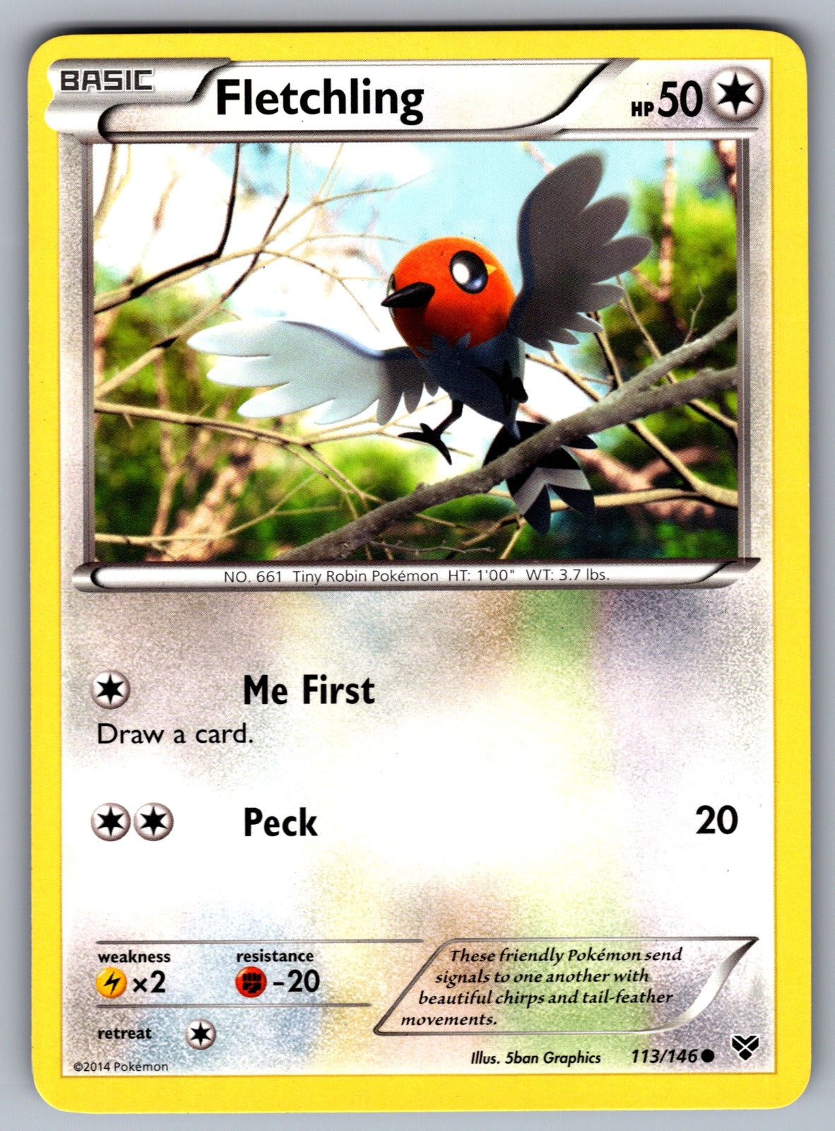 Fletchling Common XY Base Set 113/146 LP 2014