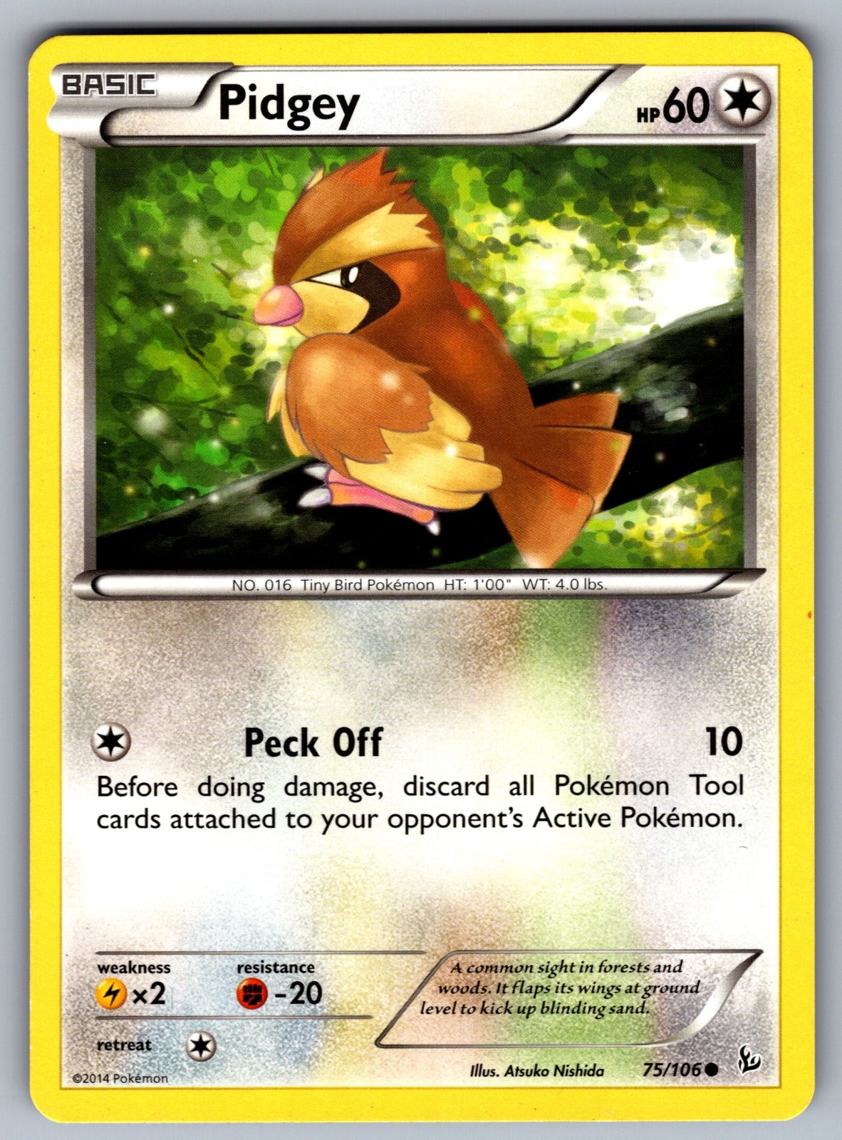 Pidgey Common XY - Flashfire 75/106 LP 2014