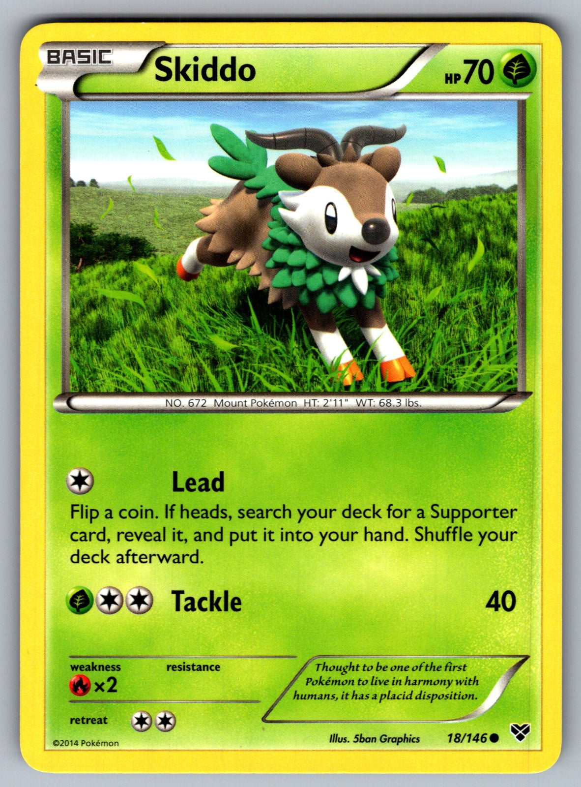 Skiddo Common XY Base Set 18/146 LP 2014