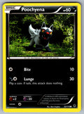 Poochyena Common XY - Phantom Forces 53/119 LP 2014