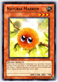 Naturia Marron 1st Edition Common Photon Shockwave PHSW-EN029 LP 2011