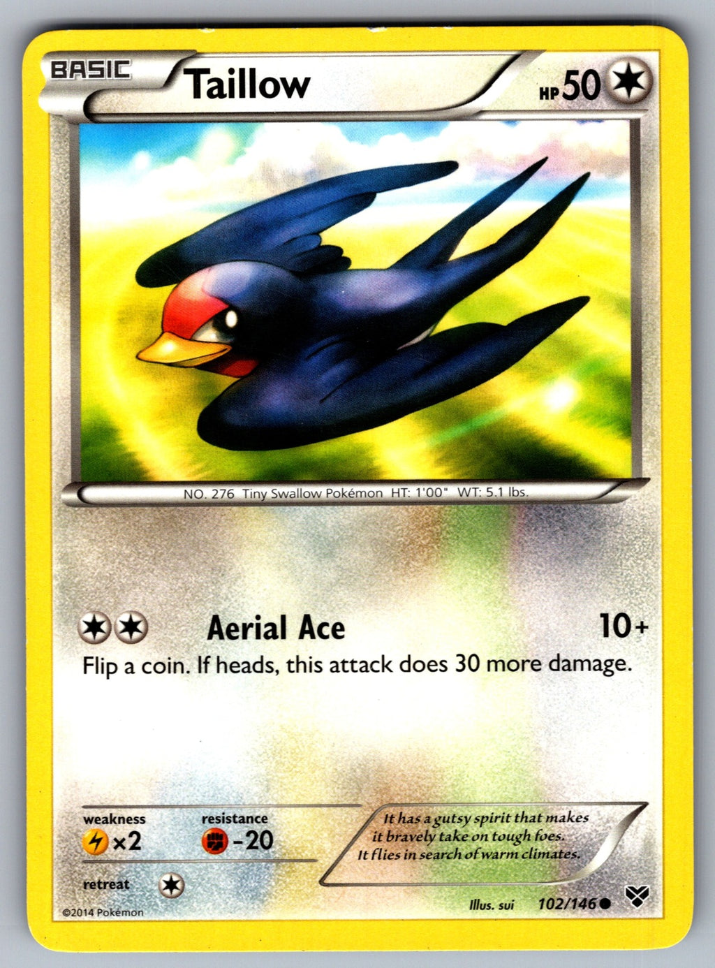 Taillow Common XY Base Set 102/146 LP 2014