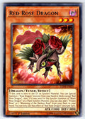 Red Rose Dragon 1st Edition Rare Legendary Duelists: Sisters of the Rose LED4-EN