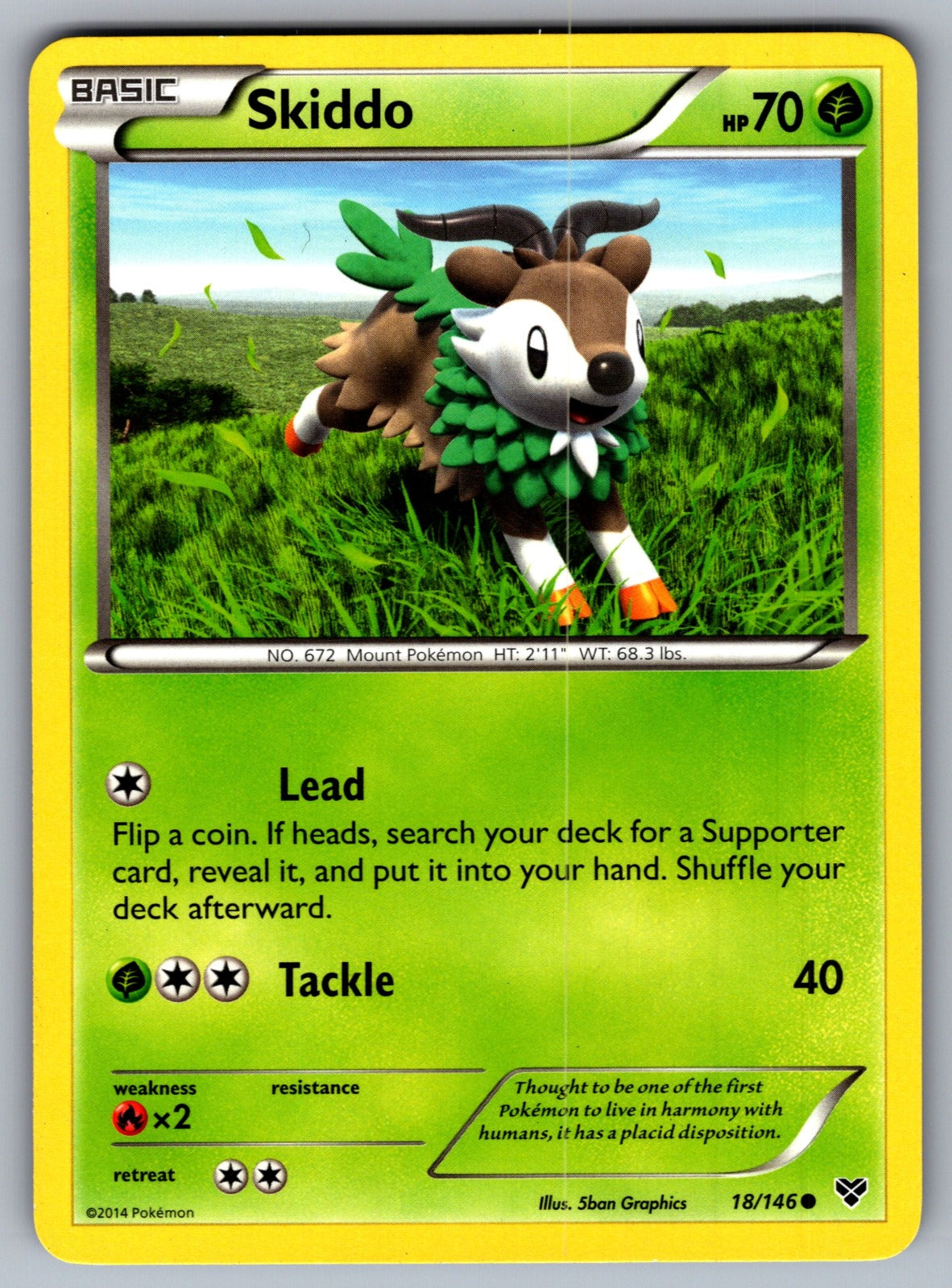 Skiddo Common XY Base Set 18/146 LP 2014