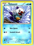 Oshawott Common Boundaries Crossed 39/149 LP 2012