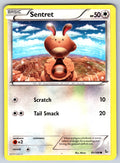 Sentret Common XY - Flashfire 81/106 LP 2014