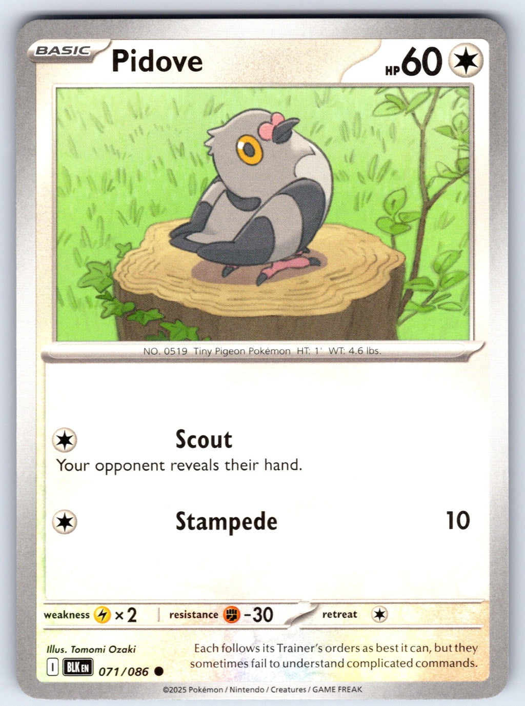 Pidove Common SV: Black Bolt 071/086 NM 2025