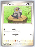 Pidove Common SV: Black Bolt 071/086 NM 2025
