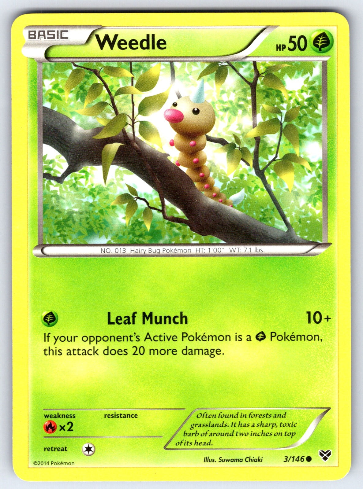 Weedle Common XY Base Set 3/146 LP 2014