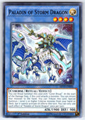 Paladin of Storm Dragon Unlimited Common 2019 Gold Sarcophagus Tin Mega Pack MP1
