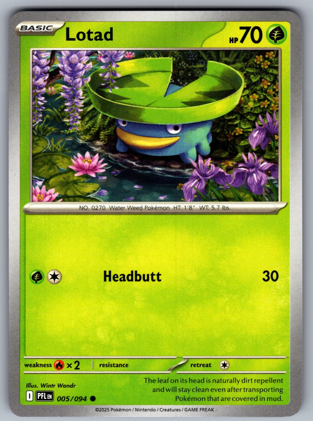 Lotad Common ME02: Phantasmal Flames 005/094 NM 2025
