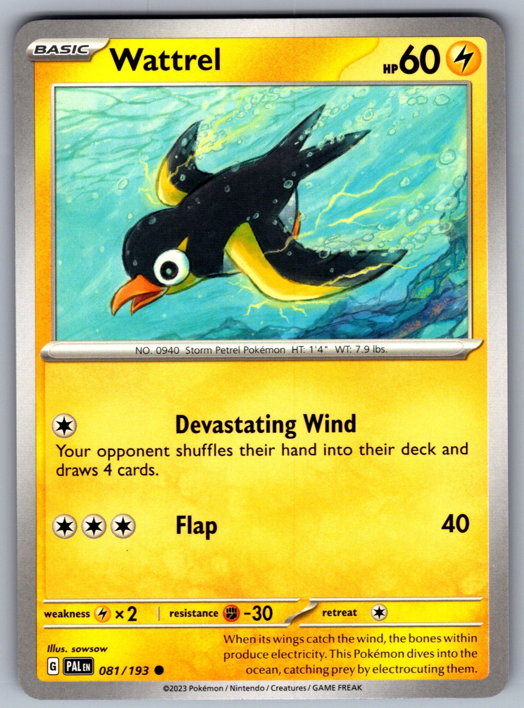 Wattrel Common SV02: Paldea Evolved 081/193 NM 2023