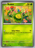 Budew Common ME: Ascended Heroes 016/217 NM 2026