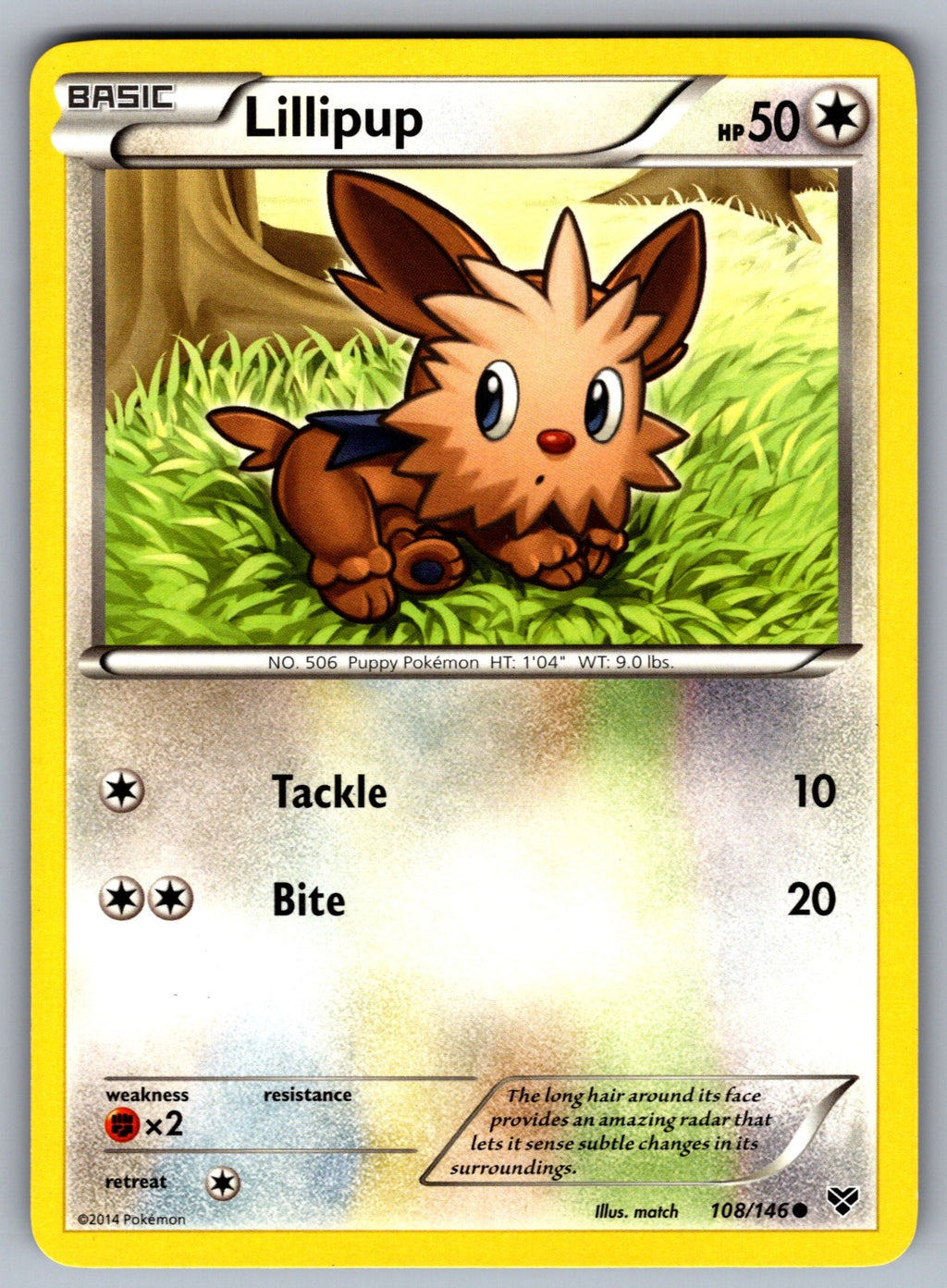 Lillipup Common XY Base Set 108/146 LP 2014
