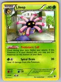 Lileep Uncommon Plasma Blast 3/101 LP 2013