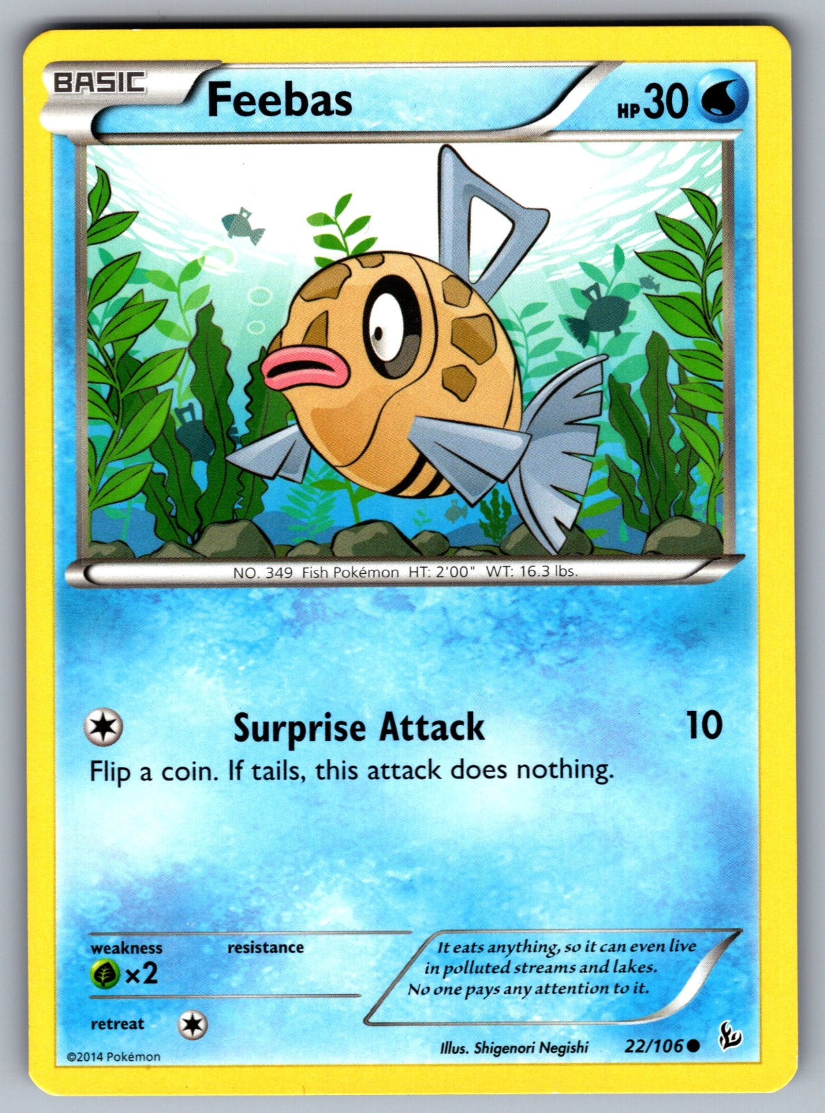 Feebas Common XY - Flashfire 22/106 LP 2014