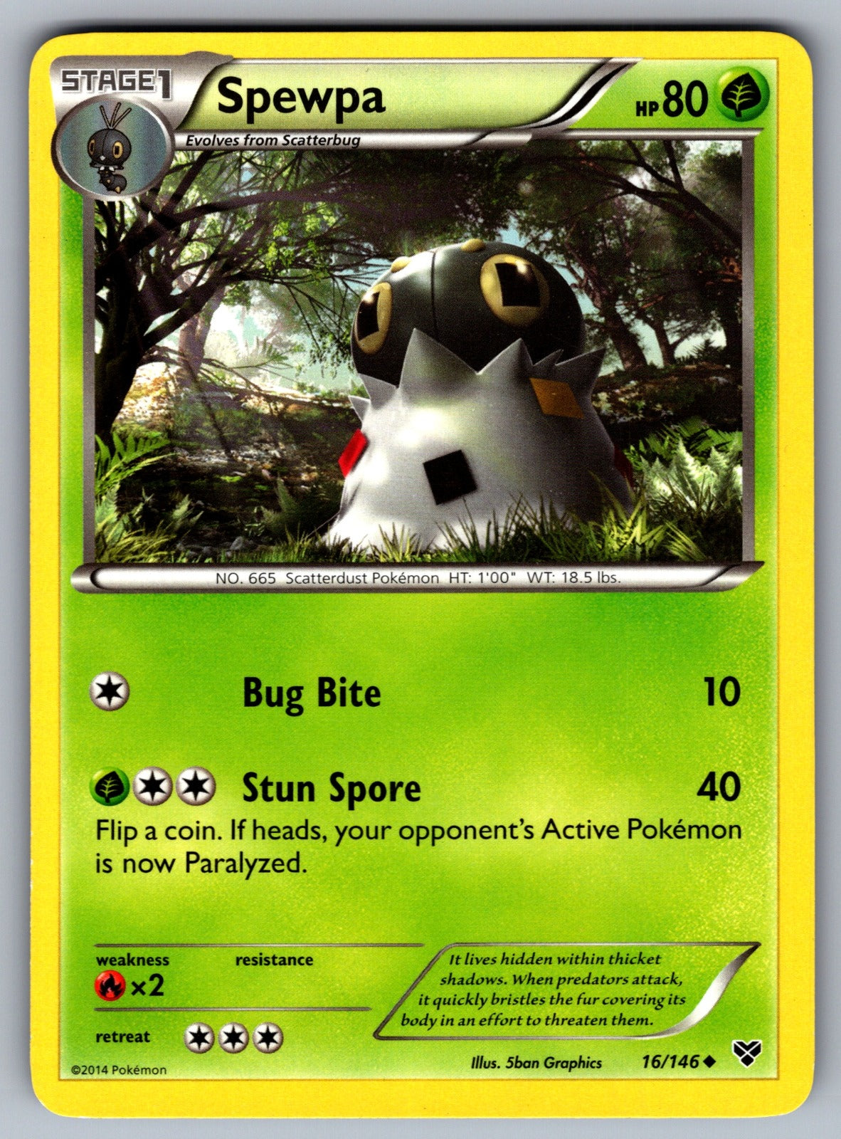 Spewpa Uncommon XY Base Set 16/146 LP 2014