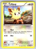 Lillipup Common Boundaries Crossed 120/149 LP 2012
