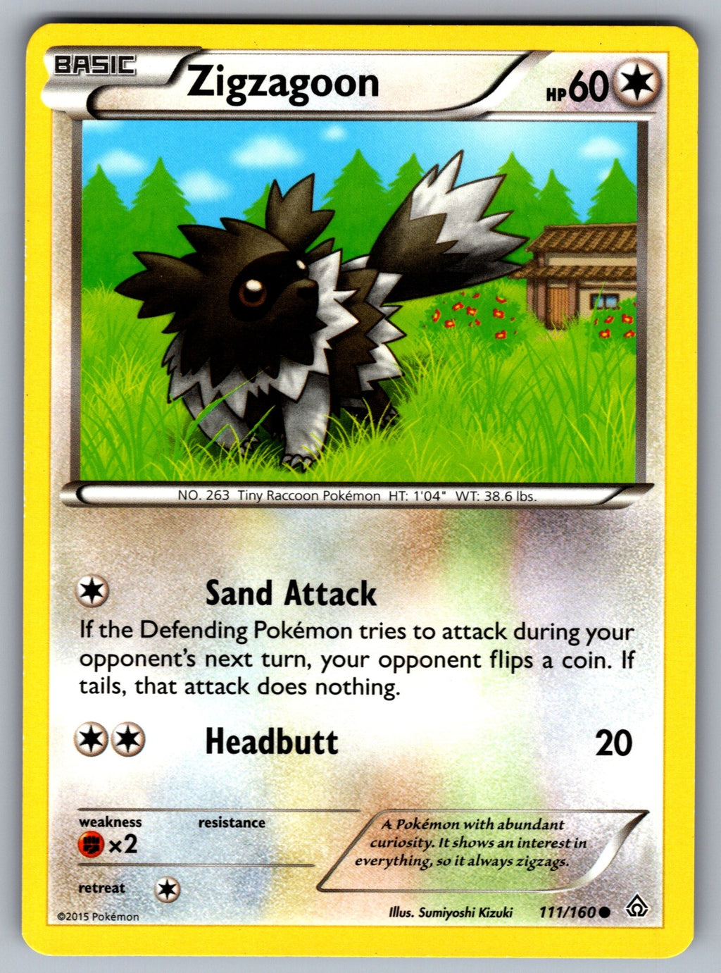Zigzagoon Common XY - Primal Clash 111/160 LP 2015