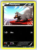 Poochyena Common Kalos Starter Set 16/39 LP 2013