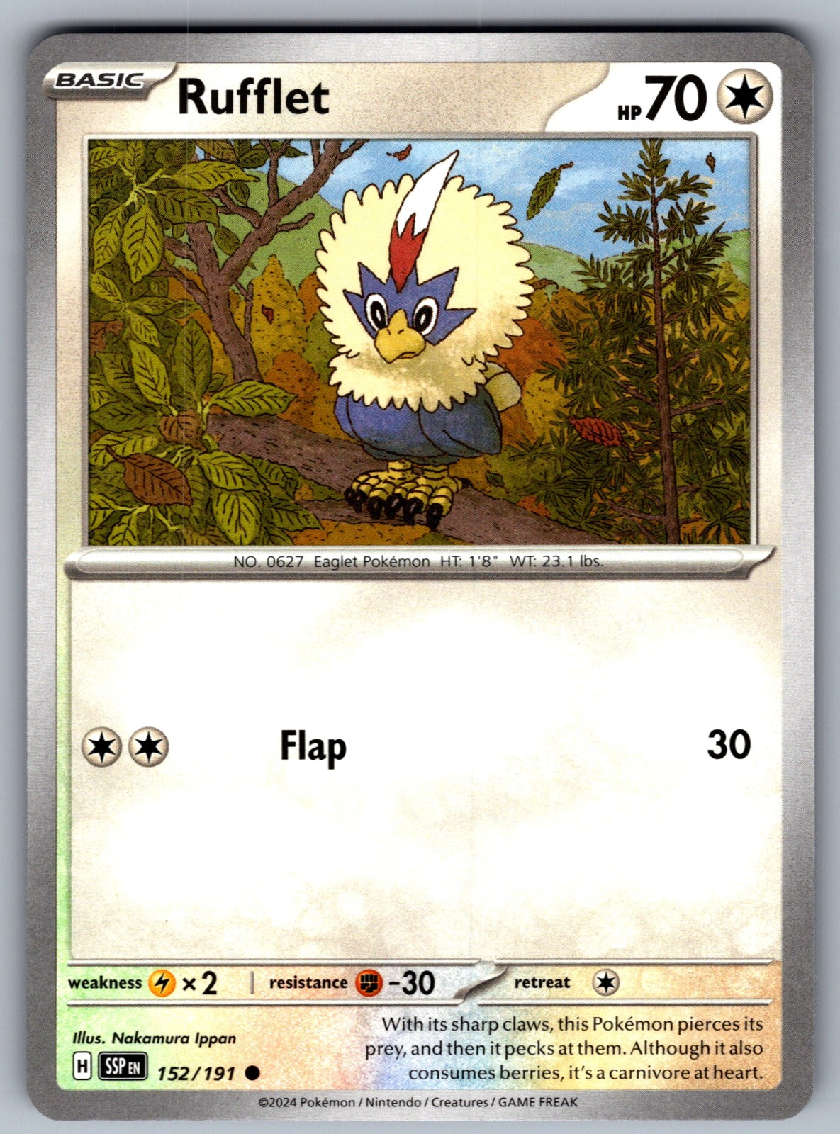 Rufflet Common SV08: Surging Sparks 152/191 NM 2024