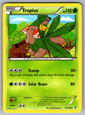 Tropius Uncommon XY - Roaring Skies 12/108 LP 2015