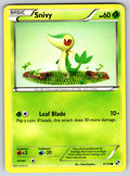 Snivy (2) Common Black and White 2/114 LP 2011
