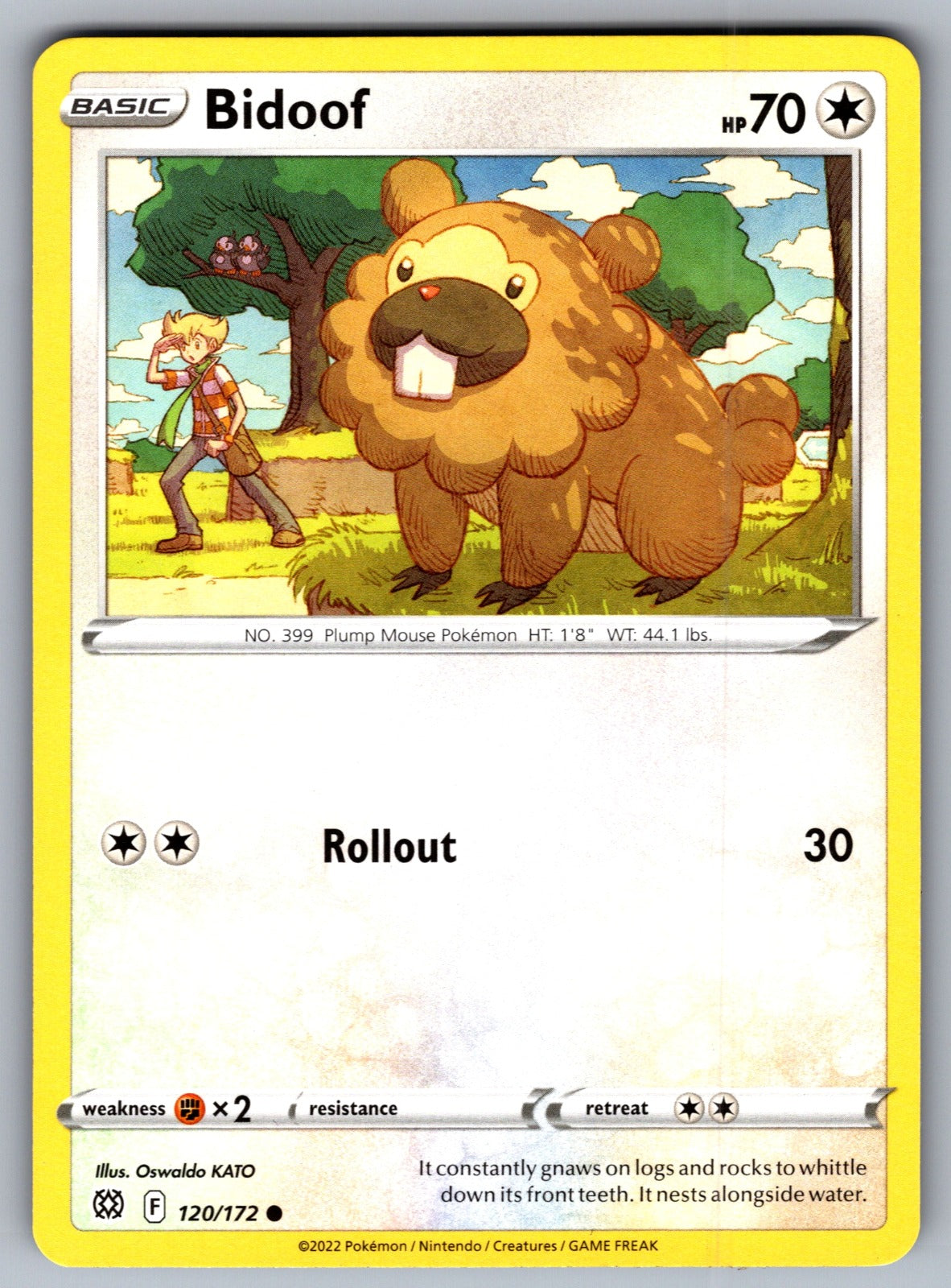Bidoof Common SWSH09: Brilliant Stars 120/172 NM 2022