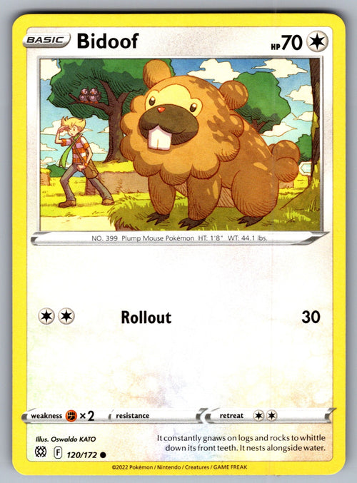 Bidoof Common SWSH09: Brilliant Stars 120/172 NM 2022